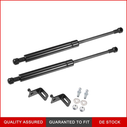 Front hood lift - front, supporto